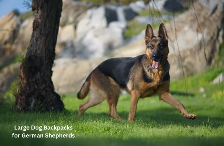 Dog Backpacks for German Shepherds