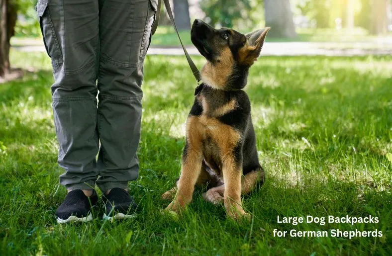 Dog Backpacks for German Shepherds